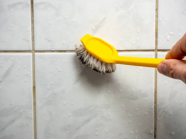 Best Home Mold Removal  in Rose Lodge, OR