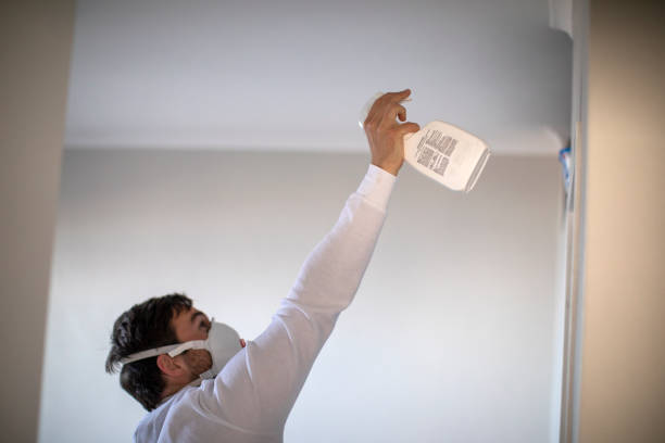 Best Mold Removal Company Near Me  in Rose Lodge, OR