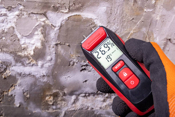 Professional Mold Removal in Rose Lodge, OR