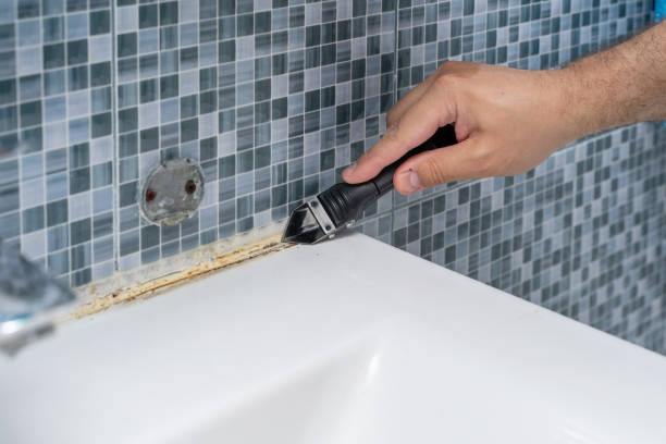 Best Toxic Mold Removal  in Rose Lodge, OR
